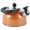 Bo-CampFluitketel Rhoda1,2 Liter RVS Inductie